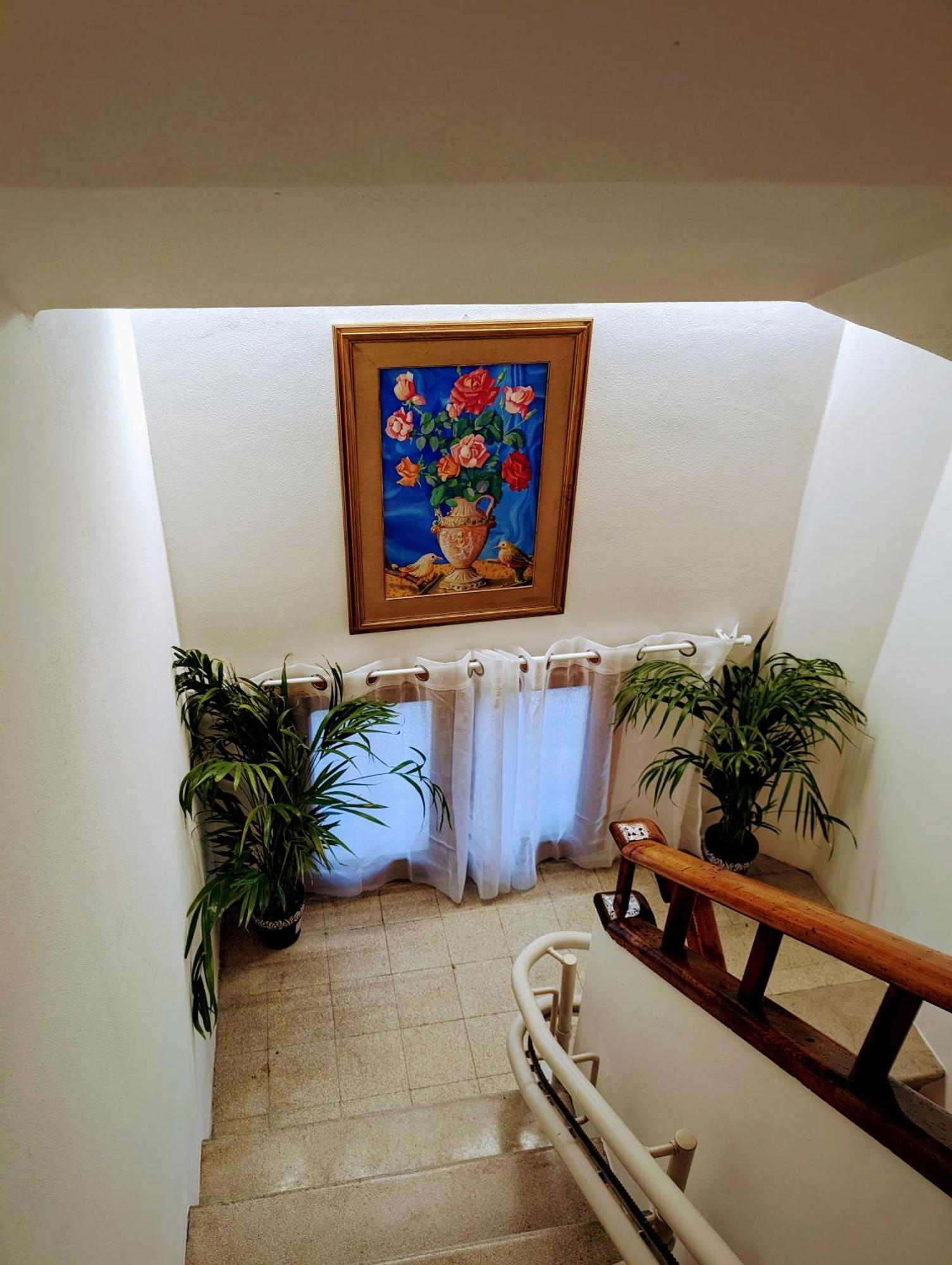 Guest House Il Glicine Stadio - Ospedale Чезена Екстериор снимка
